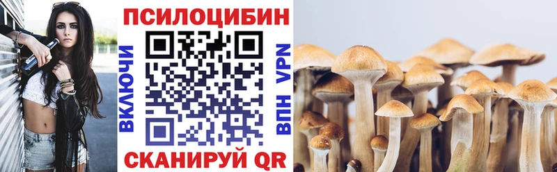 Псилоцибиновые грибы GOLDEN TEACHER  Ростов 